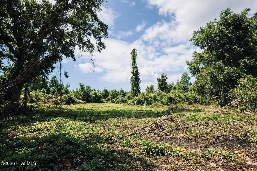 1805 Front Street, Burgaw, NC 28425 - #2