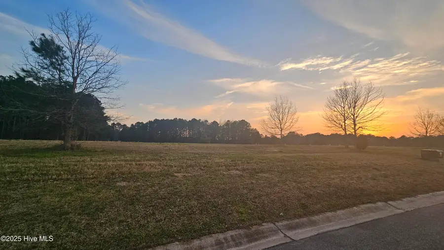 178 Sycamore Lakes Drive, Wallace, NC 28466 - #2