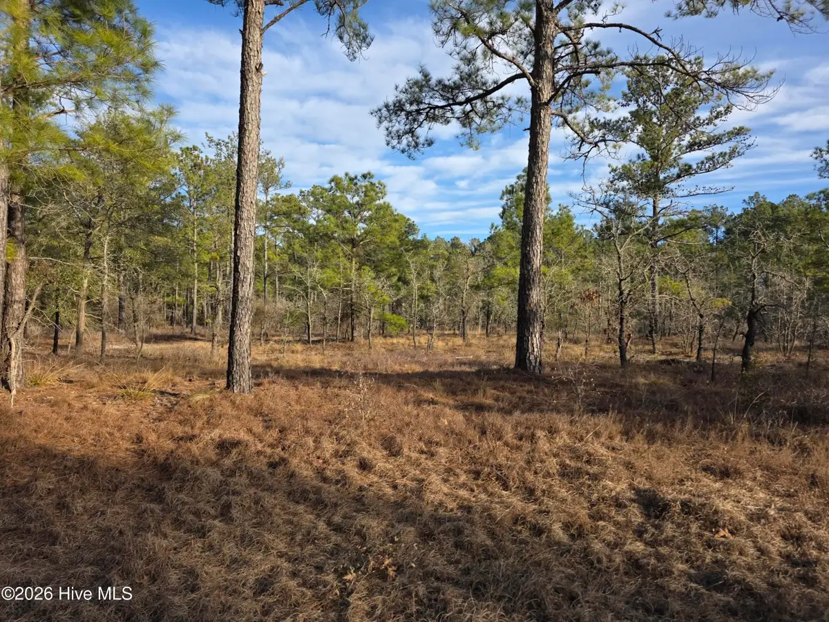 Lot 11 Meeks Creek Drive, Rocky Point, NC 28457 - #1