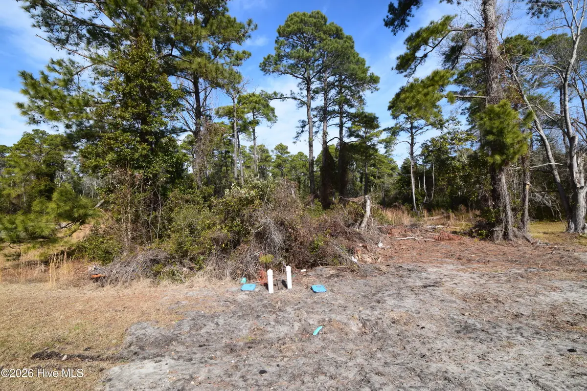 2202 Caracara Drive, New Bern, NC 28560 - #1