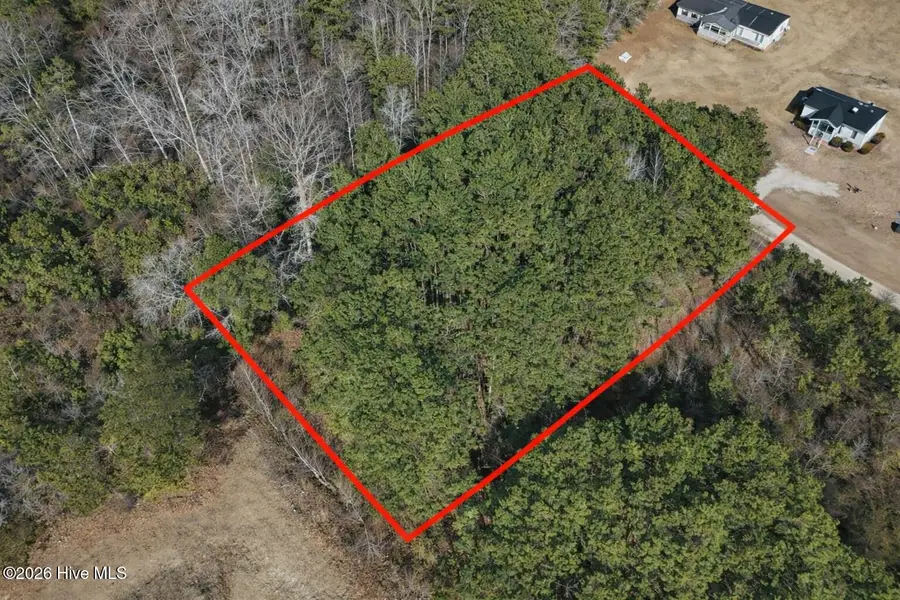 245 Crape Myrtle Lane, Whiteville, NC 28472 - #2