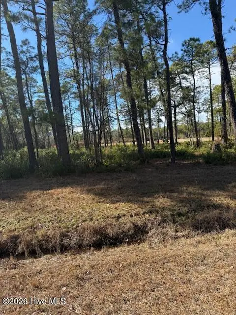 3671 Cactus Road, Winnabow, NC 28479 - #3