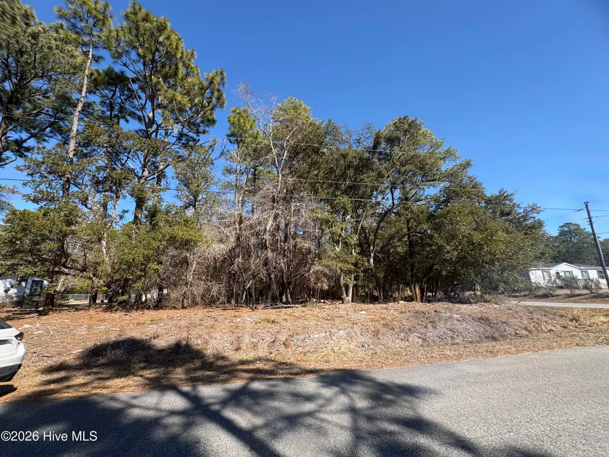 1 Maple Road, Boiling Spring Lakes, NC 28461 - #1