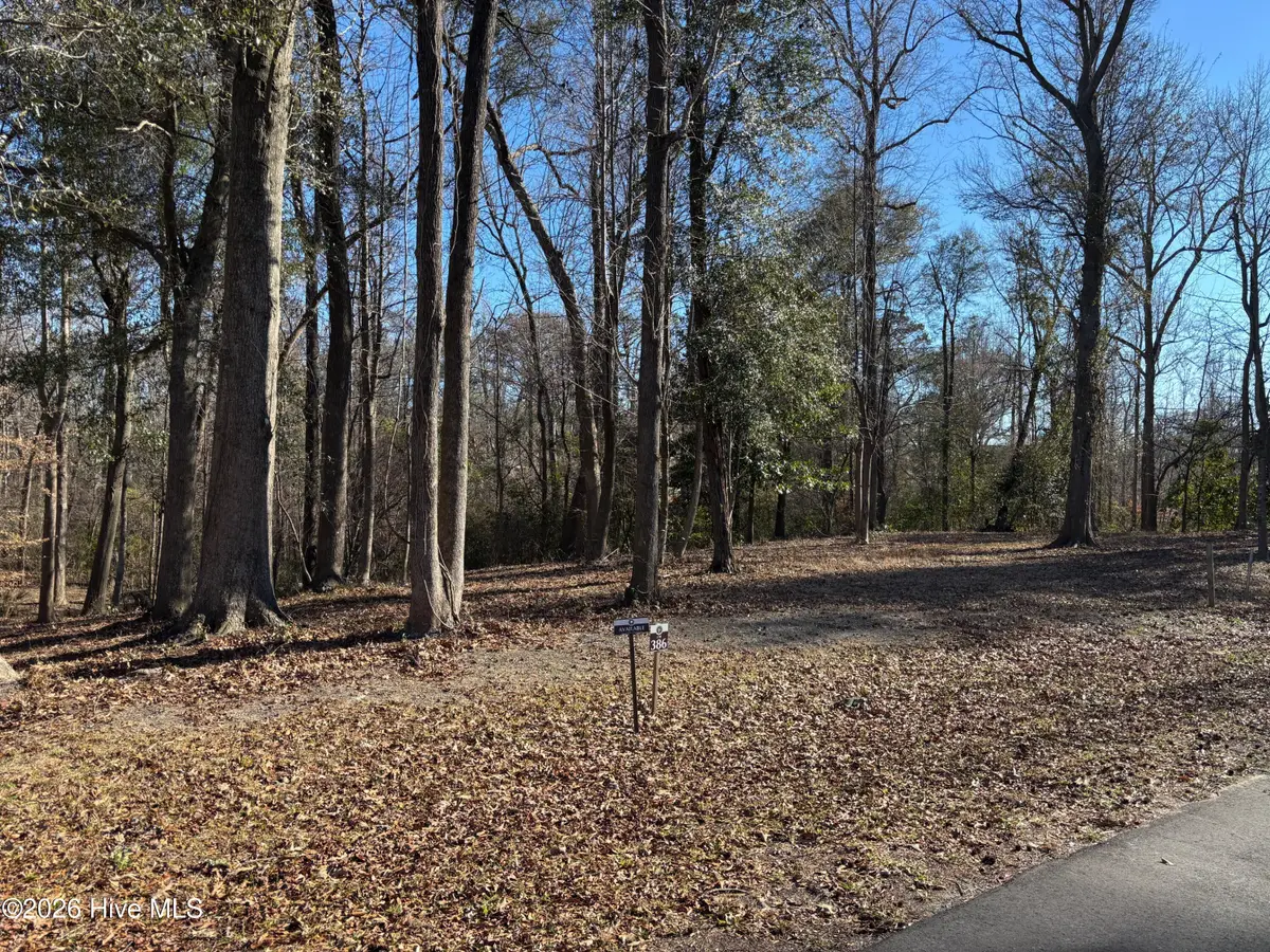 124 River Bluffs Drive, Castle Hayne, NC 28429 - #1