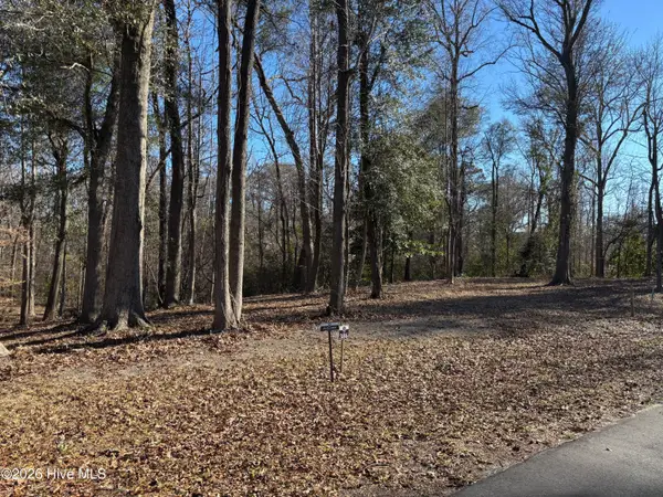 124 River Bluffs Drive, Castle Hayne, NC 28429