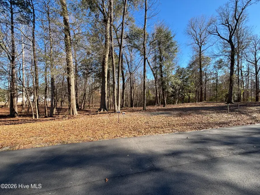 124 River Bluffs Drive, Castle Hayne, NC 28429 - #2