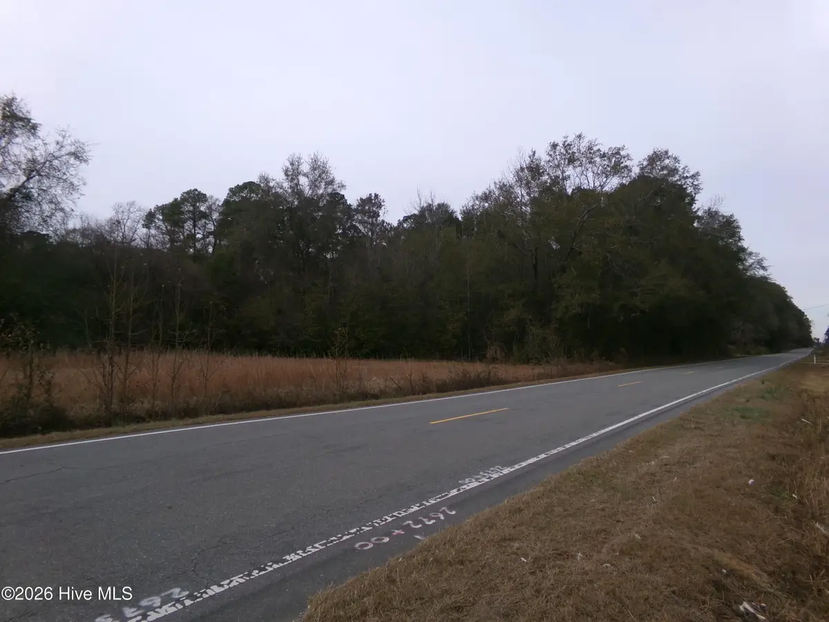 Lot 2 Ivanhoe Road, Ivanhoe, NC 28447 - #1
