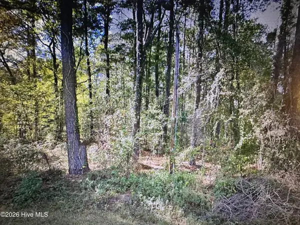 Near 88 Oak Road, Lake Waccamaw, NC 28450