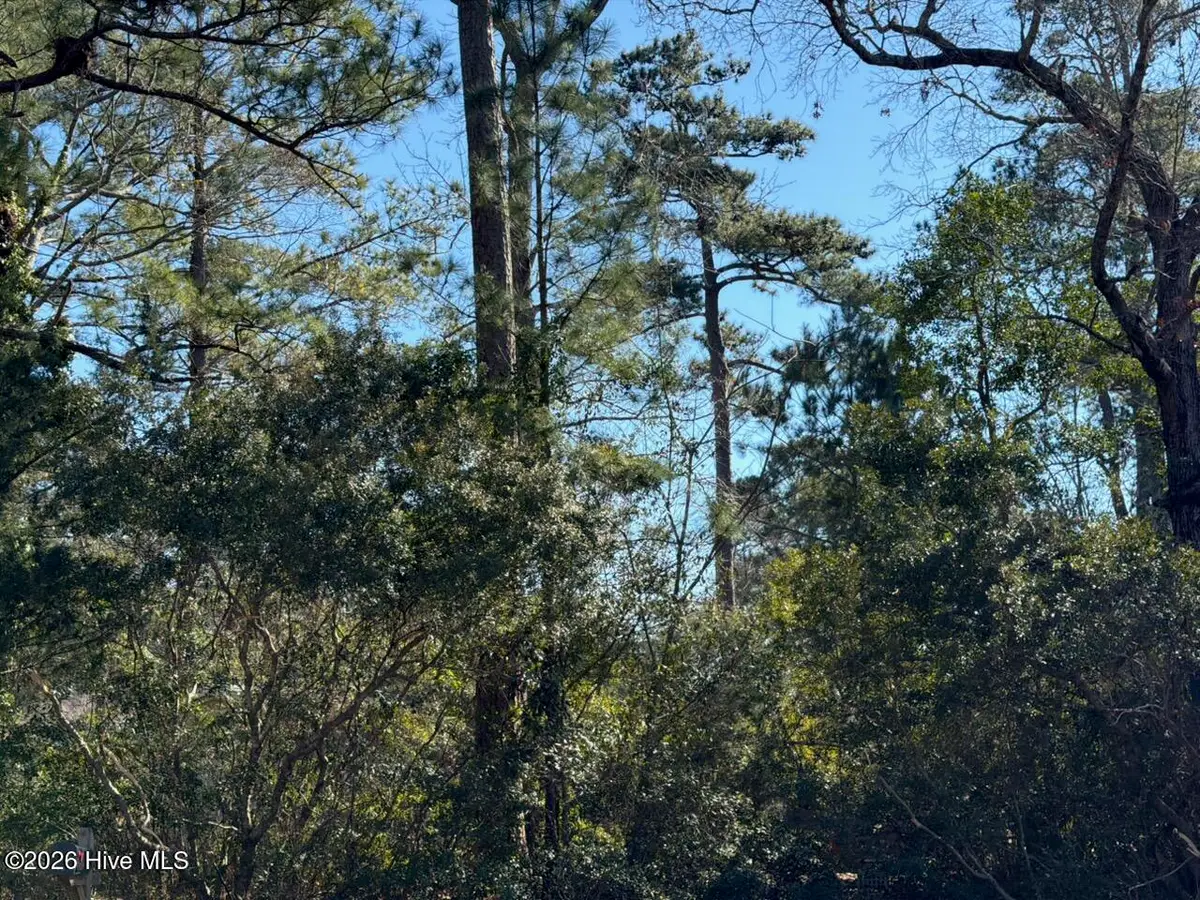 0 Gregory Fork Road, Richlands, NC 28574 - #1