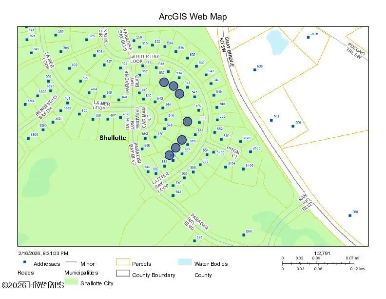 557 Glitter Bay Loop, Shallotte, NC 28470 - #1