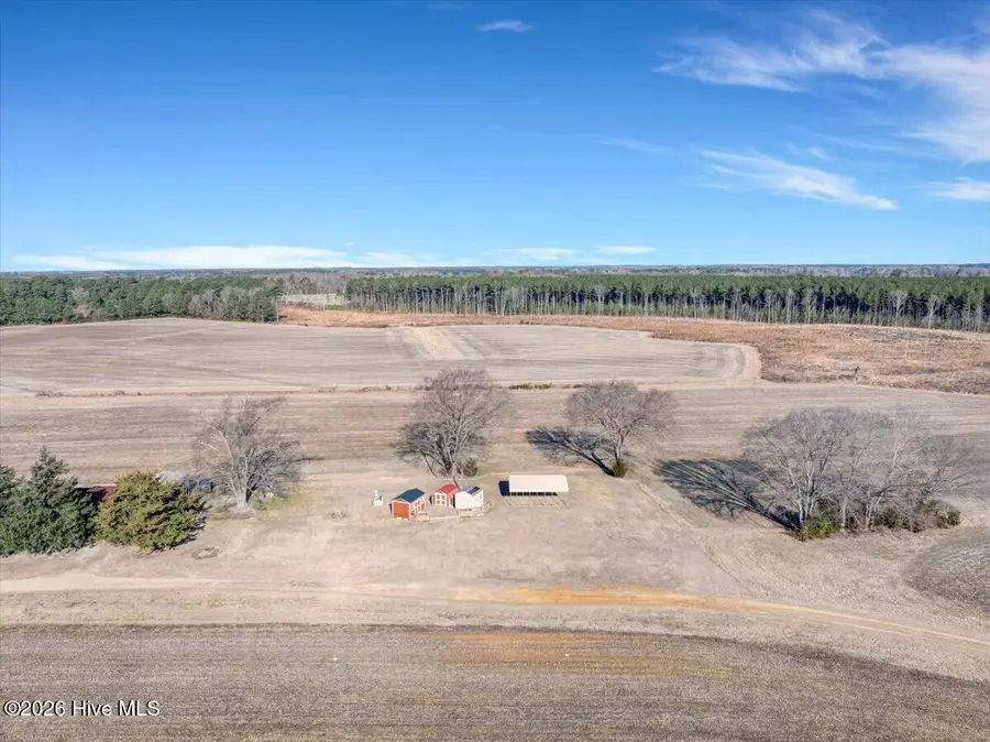 215 Hallie Futrell Lane, Conway, NC 27820 - #2