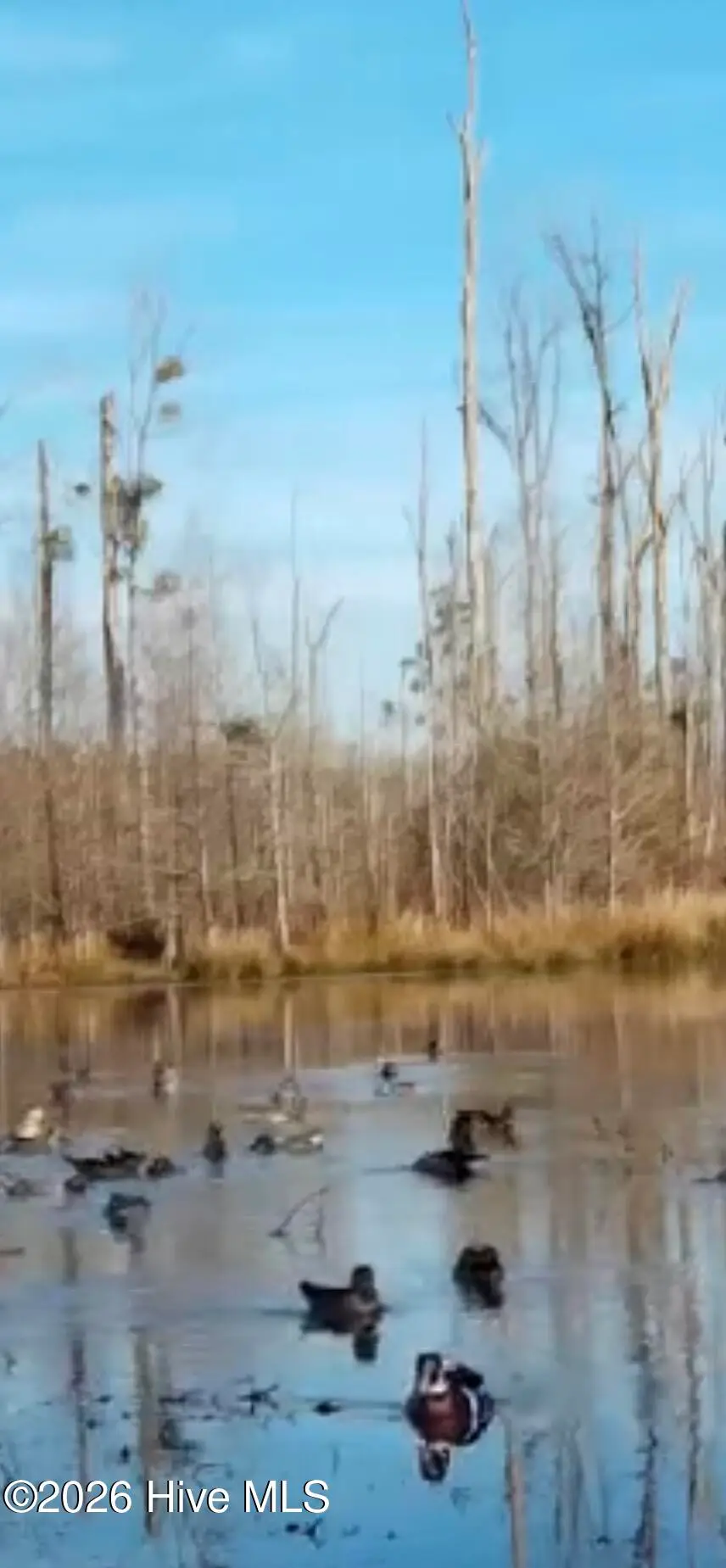 943 Off 943 Governors Rd Nc 308 Road, Windsor, NC 27983 - #3