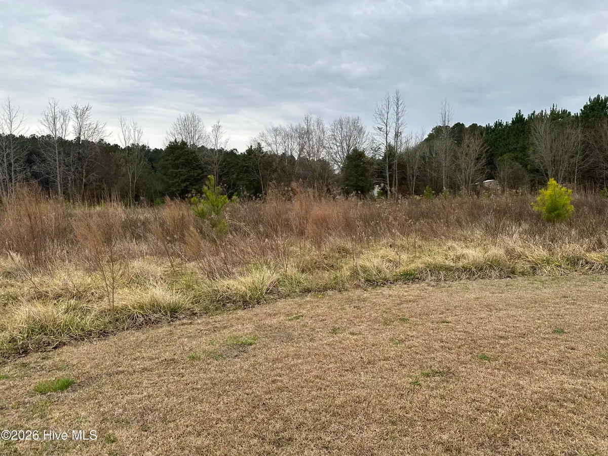 18 Near 18 Taylor Lane, Clarendon, NC 28432 - #1