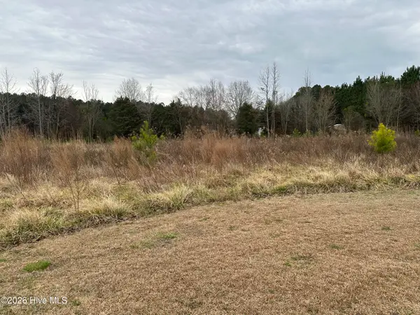 18 Near 18 Taylor Lane, Clarendon, NC 28432