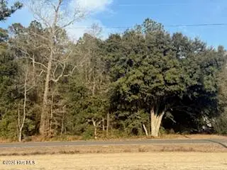 120 Rough Horn Road, Evergreen, NC 28438 - #3