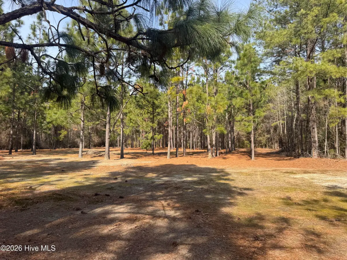 154 Sunset Park Road, Bladenboro, NC 28320 - #1