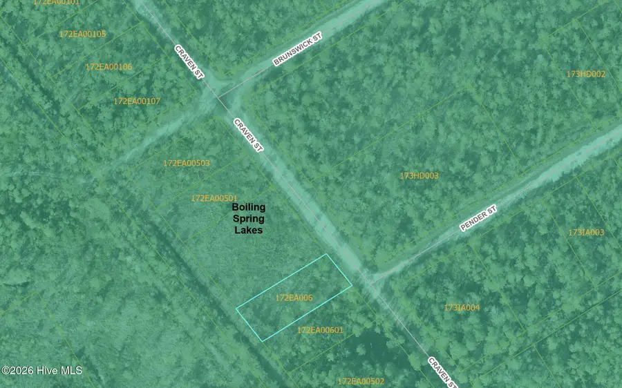 Lot 489 Craven Street, Boiling Spring Lakes, NC 28461 - #3