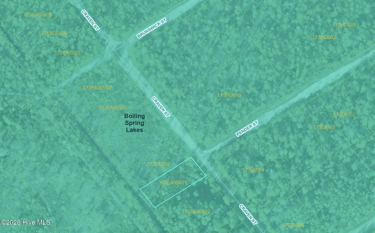 Lot 490 Craven Street, Boiling Spring Lakes, NC 28461 - #1