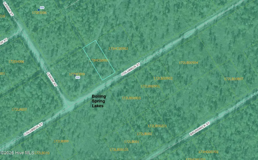 Lot 316 Columbus Road, Boiling Spring Lakes, NC 28461 - #3