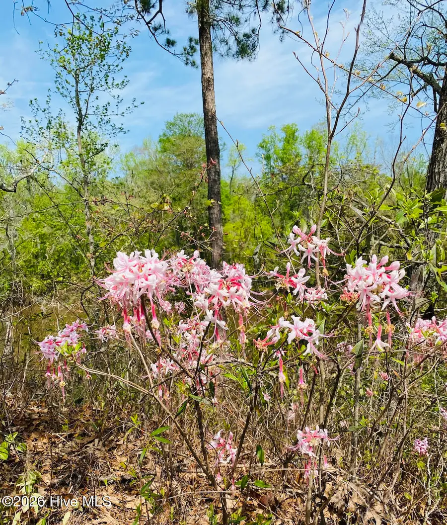 3422 Belle Meade Way Ne, Leland, NC 28451 - #2