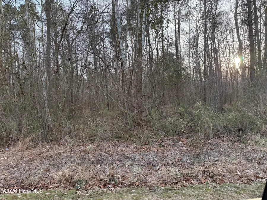 Lot 14 Beasley Road, Roper, NC 27970 - #3