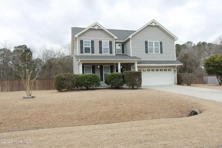 233 Blue Creek Farms Drive, Jacksonville, NC 28540 - #2