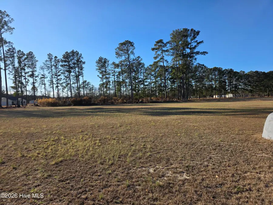 183 Ladybell Drive, Orrum, NC 28369 - #2