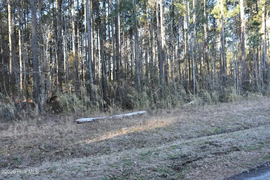 97 Mcgowan Road, Bath, NC 27808 - #3