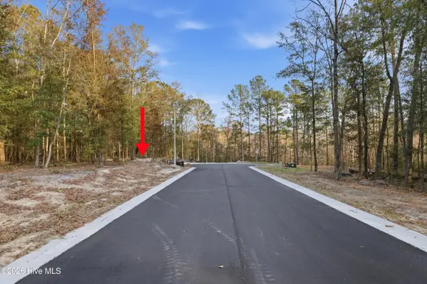 1041 Brooke Ridge Lane, Southport, NC 28461