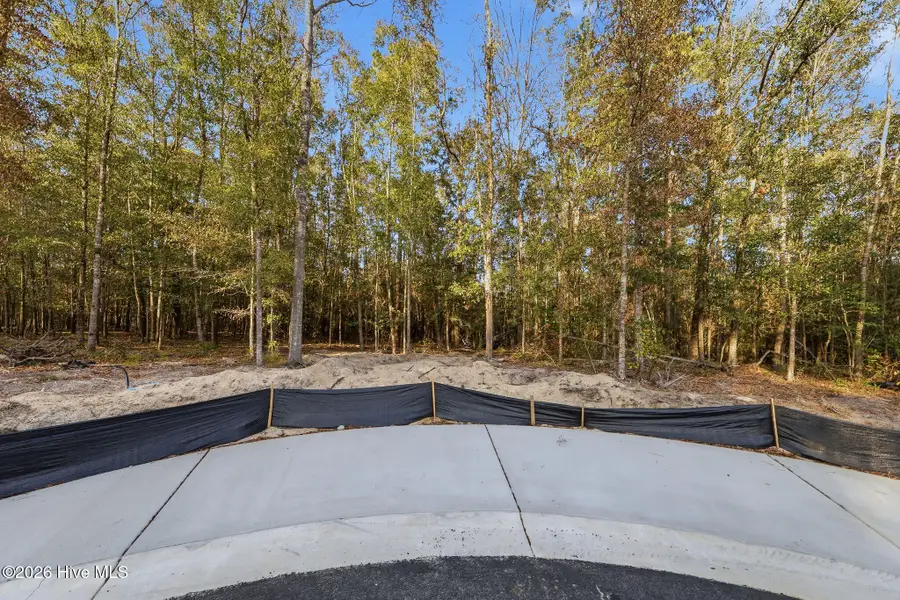 1041 Brooke Ridge Lane, Southport, NC 28461 - #2