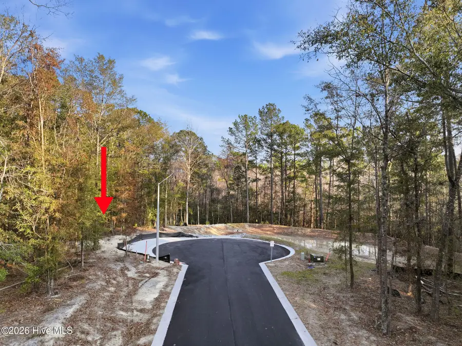 1041 Brooke Ridge Lane, Southport, NC 28461 - #3