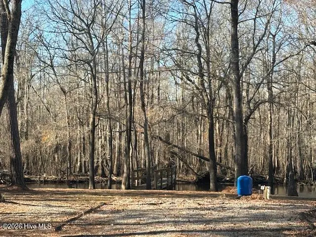 203 Estate Road, Atkinson, NC 28421 - #1