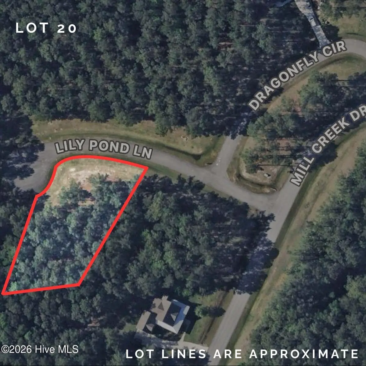 39 Lily Pond Lane, Minnesott Beach, NC 28510 - #1