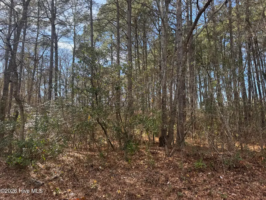 0 Butler Mill Road, Bladenboro, NC 28320 - #3