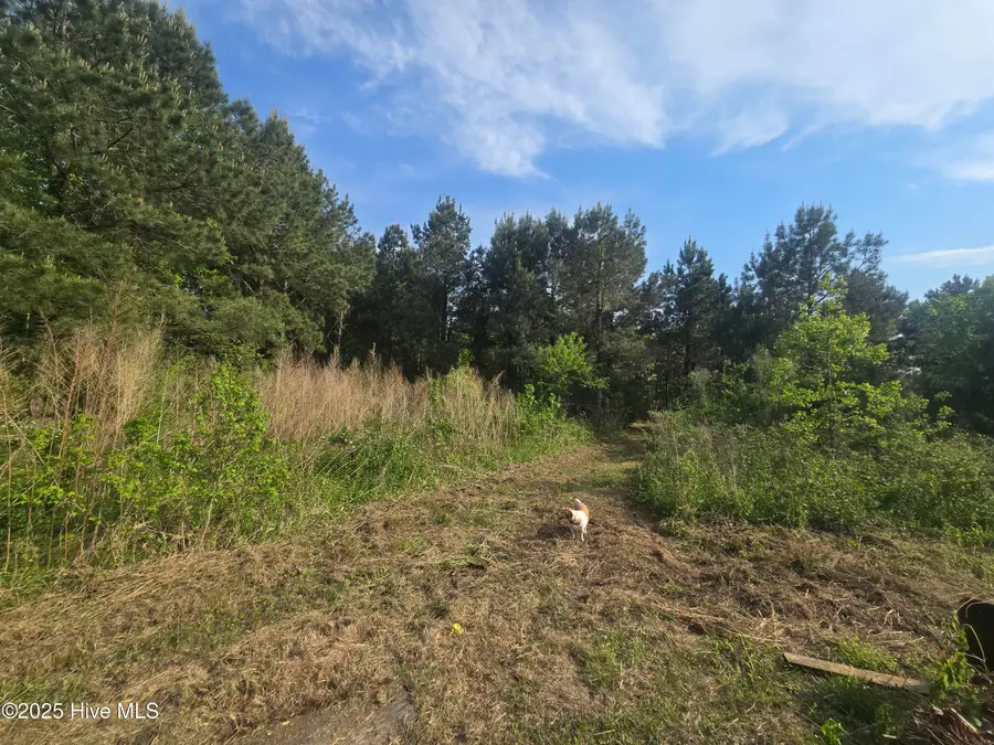 5 Keys Cross Road, Hobbsville, NC 27946 - #3