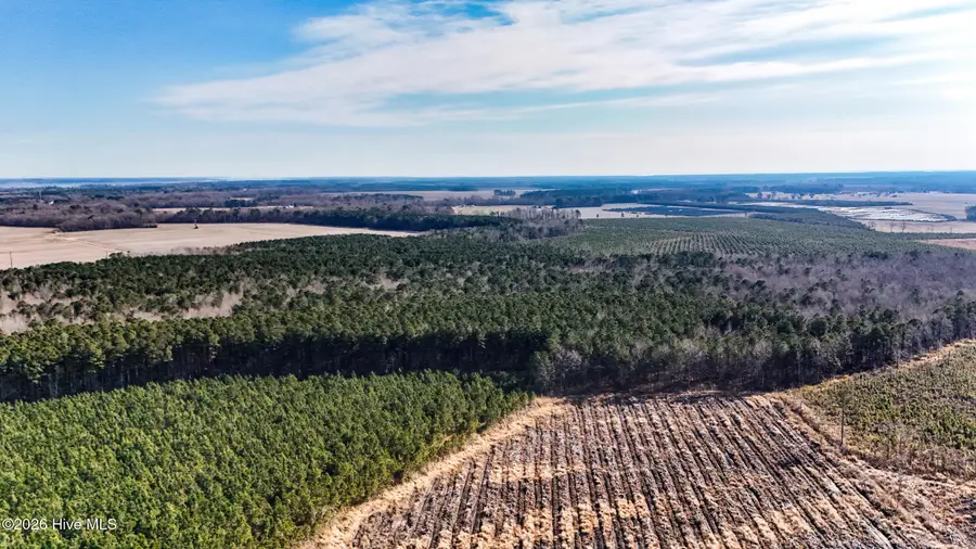 10 Ballahack Road, Hertford, NC 27944 - #3