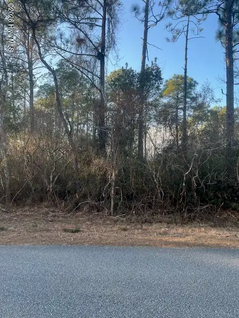 236 W South Shore Drive, Southport, NC 28461 - #1