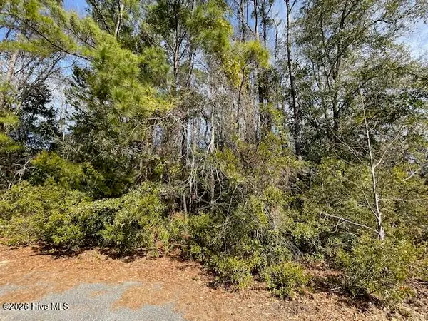 38 Lot Cedar Find Cove, Wilmington, NC 28411