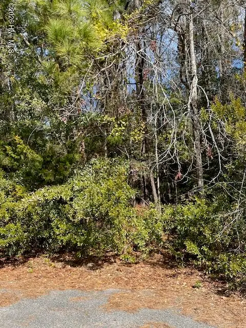 38 Lot Cedar Find Cove, Wilmington, NC 28411 - #3