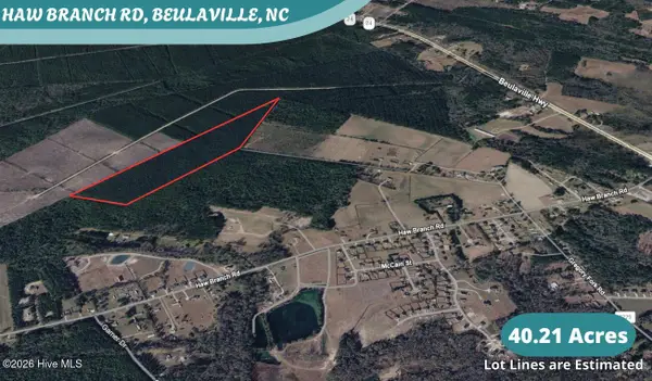 40 Acres Haw Branch Road, Beulaville, NC 28518