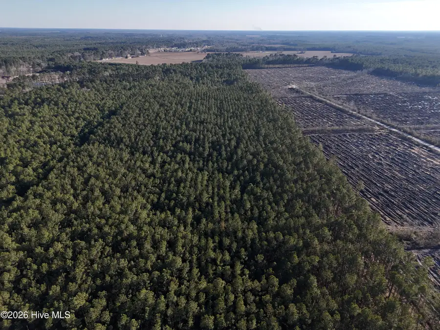 40 Acres Haw Branch Road, Beulaville, NC 28518 - #3