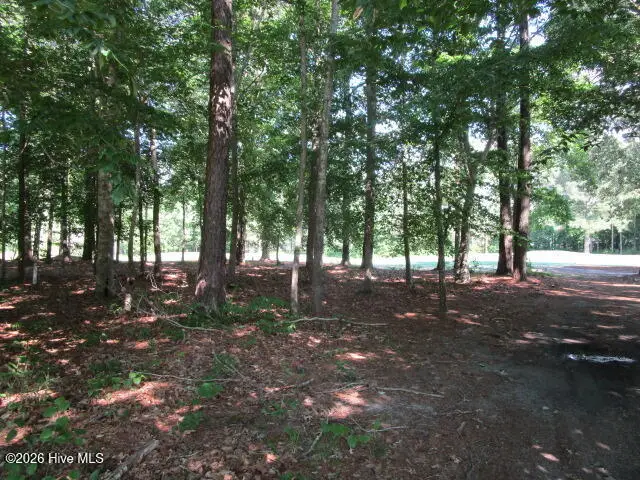 Lot 1 Roanoke Drive W, Hertford, NC 27944 - #1