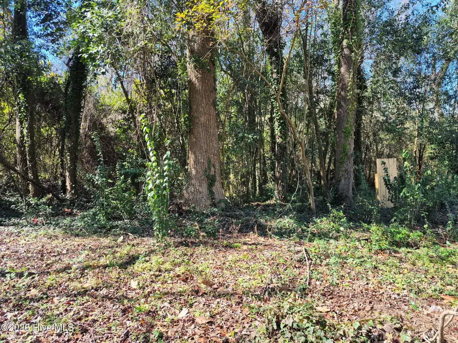 1138 French Road, Wilmington, NC 28403 - #2