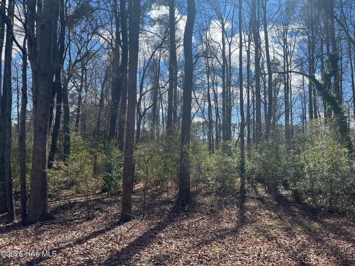 11 Brookwood Road, Kinston, NC 28504 - #1