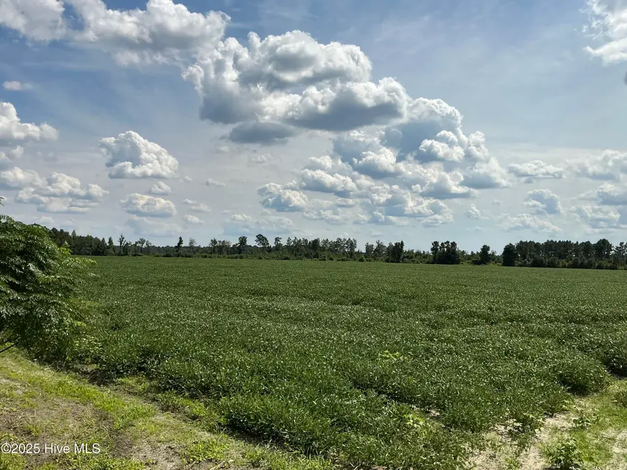 0 Near 685 Rossie Ober Road, Whiteville, NC 28472 - #2