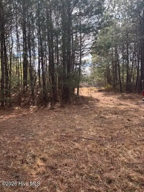 10 Acres Scott Road, Pollocksville, NC 28573