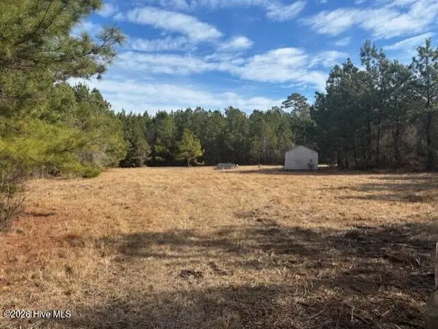 10 Acres Scott Road, Pollocksville, NC 28573 - #3
