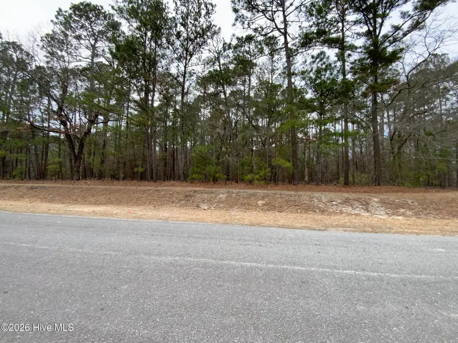 101 Long Leaf Lane, Goldsboro, NC 27534 - #2