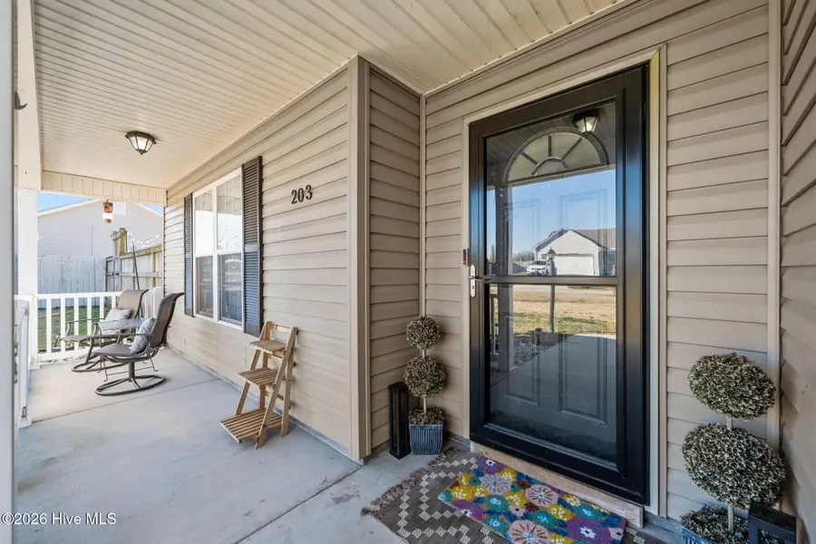 203 High Meadow Court, Richlands, NC 28574 - #3