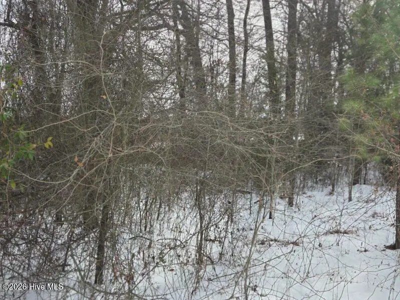 101 Esterville Road, Elizabethtown, NC 28337 - #3